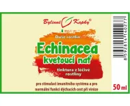 Echinacea (echinacea) kvitnúca vňať (kvapky Duša rastlín - tinktúra) 50 ml