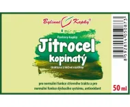 Skorocel kopijovitý - bylinné kvapky (tinktúra) 50 ml