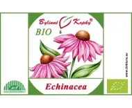 Echinacea purpurea (echinacea purpurová) BIO - bylinné kvapky (tinktúra) 50 ml