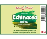 Echinacea (echinacea) koreň (bylinné kvapky - tinktúra) 50 ml