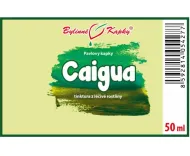 Caigua (ačokča) - bylinné kvapky (tinktúra) 50 ml