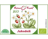 Jahodník list + kvet BIO - bylinné kvapky (tinktúra) 50 ml