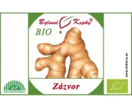 Zázvorovník (zázvor) BIO - bylinné kvapky (tinktúra) 50 ml