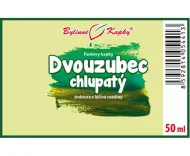 Dvojzubec chlpatý (pílový) - bylinné kvapky (tinktúra) 50 ml