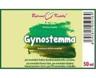 Gynostema (gynostemma, jiaogulan) (TCM) - bylinné kvapky (tinktúra) 50 ml