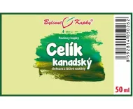 Celík (zlatobyľ) kanadský - bylinné kvapky (tinktúra) 50 ml