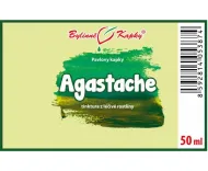 Agastache - bylinné kvapky (tinktúra) 50 ml