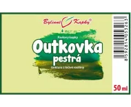 Outkovka pestrá (Coriolus) - bylinné kvapky (tinktúra) 50 ml