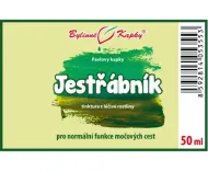 Jastrabník - bylinné kvapky (tinktúra) 50 ml