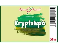 Kryptolepis (Cryptolepis) - bylinné kvapky (tinktúra) 50 ml