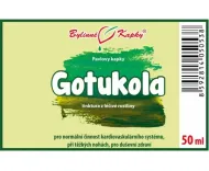 Gotukola (gotu kolesa) - bylinné kvapky (tinktúra) 50 ml