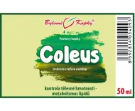 Coleus - bylinné kvapky (tinktúra) 50 ml