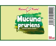 Mucuna pruriens - bylinné kvapky (tinktúra) 50 ml