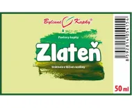 Zlateň (chryzantéma) - bylinné kvapky (tinktúra) 50 ml