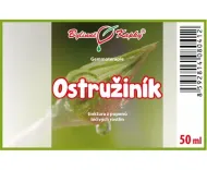 Černice - tinktúra z púčikov (gemmoterapia) 50 ml