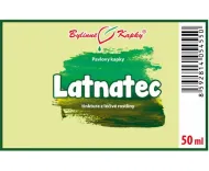 Latnatec - bylinné kvapky (tinktúra) 50 ml