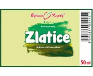 Zlatice (TCM) - bylinné kvapky (tinktúra) 50 ml