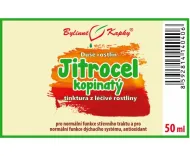 Skorocel kopijovitý - kvapky Duša rastlín (tinktúra) 50 ml