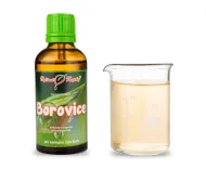 Borovica - tinktúra z púčikov (gemmoterapia) 50 ml