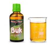 Buk - tinktúra z púčikov (gemmoterapia) 50 ml