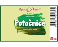 Potočnica - bylinné kvapky (tinktúra) 50 ml