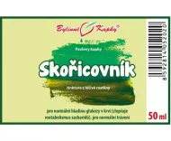 Škoricovník (škorica) - bylinné kvapky (tinktúra) 50 ml