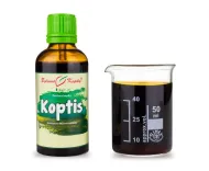 Koptis (TCM) - bylinné kvapky (tinktúra z koptisu) 50 ml