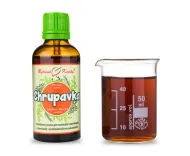 Chrupavka (kĺby) - bylinné kvapky (tinktúra) 50 ml