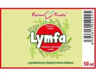 Lymfa - bylinné kvapky (tinktúra) 50 ml