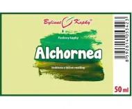 Alchornea - bylinné kvapky (tinktúra) 50 ml