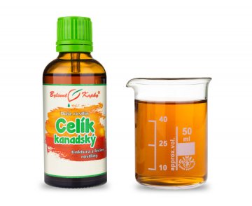 Celík (zlatobyľ) kanadský - kvapky Duša rastlín (tinktúra) 50 ml