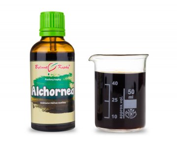 Alchornea - bylinné kvapky (tinktúra) 50 ml