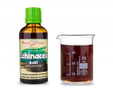 Echinacea (echinacea) kvet (bylinné kvapky - tinktúra) 50 ml