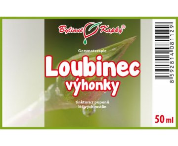 Lúbinec výhonky - Bylinné kvapky - gemmoterapia (tinktúra z púčikov a mladých výhonkov) 50 ml