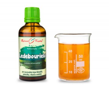 Ledebouriela (TCM) - bylinné kvapky (tinktúra) 50 ml