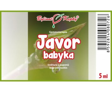 Javor babyka - tinktúra z púčikov 5 ml - gemmoterapia