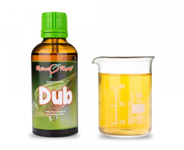 Dub - tinktúra z púčikov (gemmoterapia) 50 ml