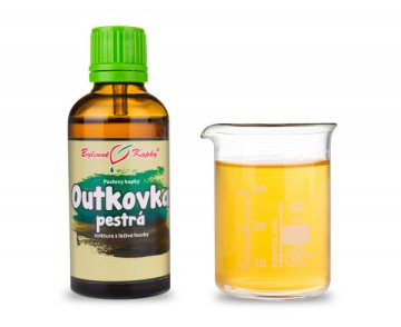 Outkovka pestrá (Coriolus) - bylinné kvapky (tinktúra) 50 ml