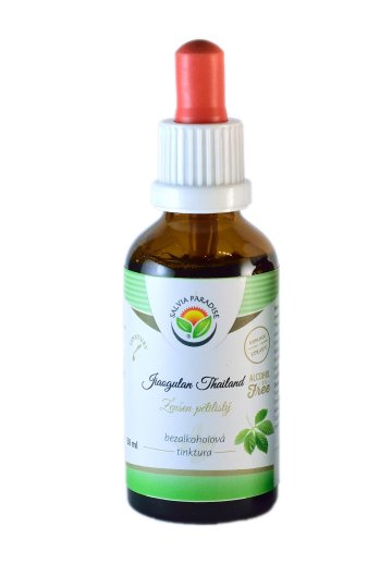 Jiaogulan Thailand AF tinktúra 50 ml od Salvia Paradise