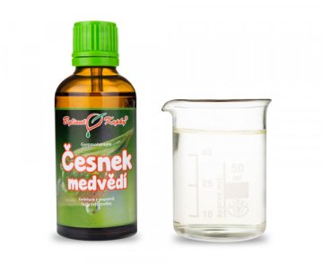 Cesnak medvedí - tinktúra z púčikov (gemmoterapia) 50 ml