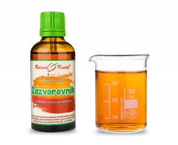 Zázvorovník (zázvor) - kapky Duše rostlin (tinktura) 50 ml