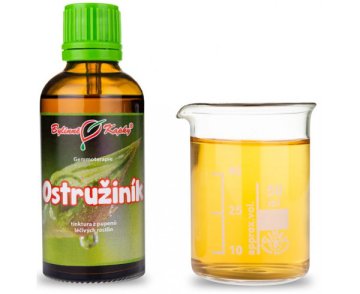 Černice - tinktúra z púčikov (gemmoterapia) 50 ml