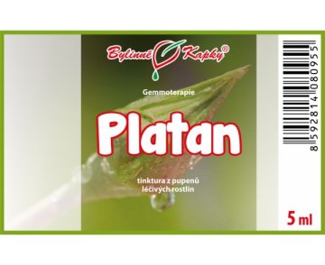 Platan - tinktúra z púčikov 5 ml - gemmoterapia