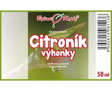 Citroník výhonky - Bylinné kvapky - gemmoterapia (tinktúra z púčikov a mladých výhonkov) 50 ml