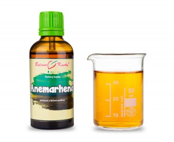 Anemarhena (TCM) - bylinné kvapky (tinktúra) 50 ml