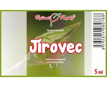 Jírovec - tinktúra z púčikov 5 ml - gemmoterapia