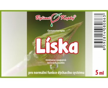 Lieska - tinktúra z púčikov 5 ml - gemmoterapia