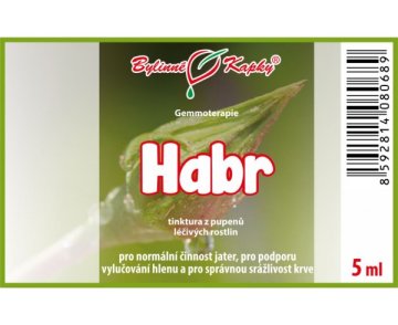 Hrab - tinktúra z púčikov 5 ml - gemmoterapia