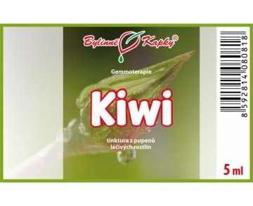 Kiwi - tinktúra z púčikov 5 ml - gemmoterapia