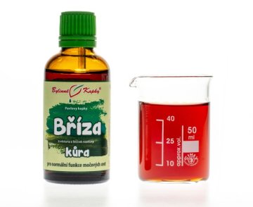 Breza kôra (betulín) - bylinné kvapky (tinktúra) 50 ml